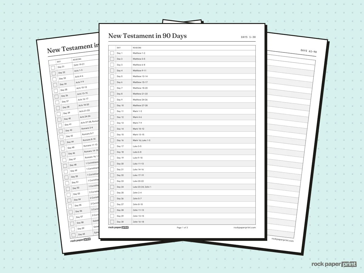 Bible Reading Plan, New Testament in 90 Days, printable PDF preview